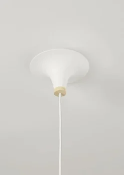 Acorn takpendel