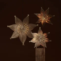 Agnes adventsstjerne 78 cm - Natur