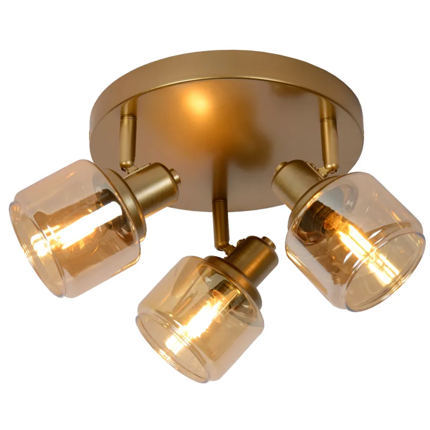 Bjorn taklampe