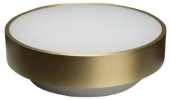 Luna taklampe 26 cm 2700 Kelvin 13,5W IP40 - Dimbar